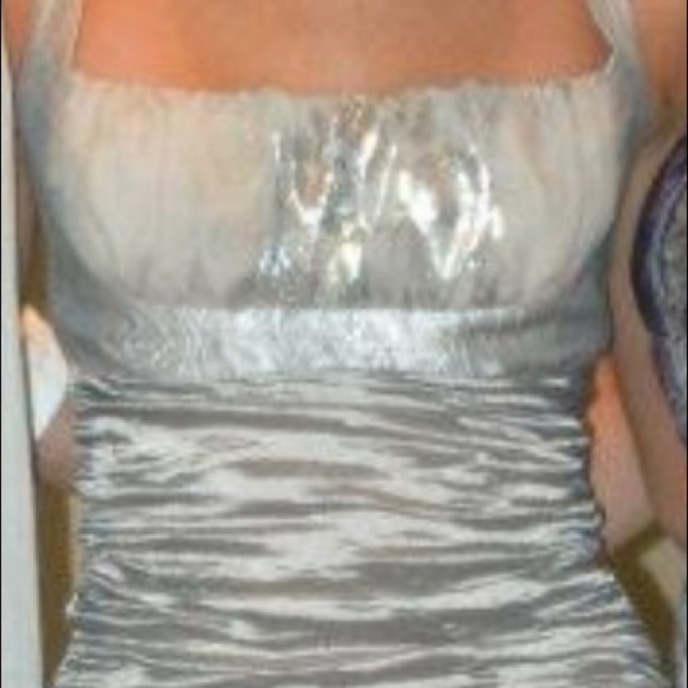 Nicole Miller gown size 0